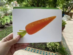 แฟลชการ์ดกล่องน้ำเงิน -- First Word Flashcards // แฟลชการ์ดภาพจริง แฟลชการ์ดผัก ผลไม้ สัตว์ ขนมหวาน&เครื่องดื่ม อาหาร