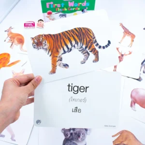 การ์ดกล่องเขียว - first word flashcard แฟลชการ์ดกล่องเขียว level 2