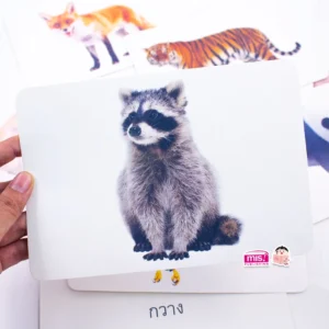 การ์ดกล่องเขียว - first word flashcard แฟลชการ์ดกล่องเขียว level 2