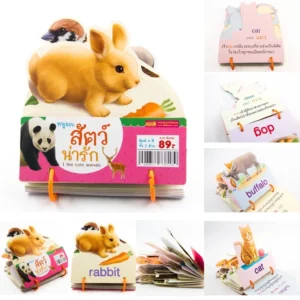 แฟลชการ์ดห่วงพื้นฐานสำหรับเด็ก มี 6หมวด Flashcard กไก่ ABC 123 ผัก ผลไม้ สัตว์ มีห่วงคล้อง ใช้ง่าย เก็บสะดวก