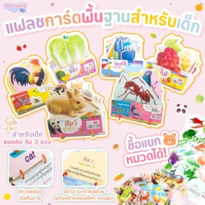 แฟลชการ์ดห่วงพื้นฐานสำหรับเด็ก มี 6หมวด Flashcard กไก่ ABC 123 ผัก ผลไม้ สัตว์ มีห่วงคล้อง ใช้ง่าย เก็บสะดวก