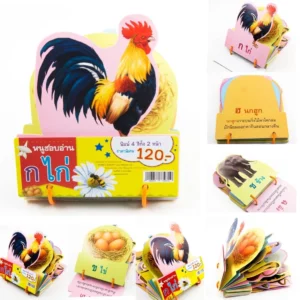 แฟลชการ์ดห่วงพื้นฐานสำหรับเด็ก มี 6หมวด Flashcard กไก่ ABC 123 ผัก ผลไม้ สัตว์ มีห่วงคล้อง ใช้ง่าย เก็บสะดวก